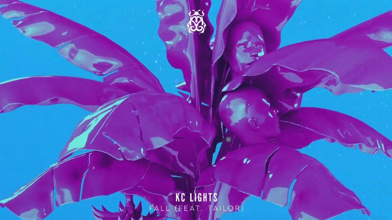 image 0 Kc Lights Feat. Tailor - Fall [tomorrowland Music]